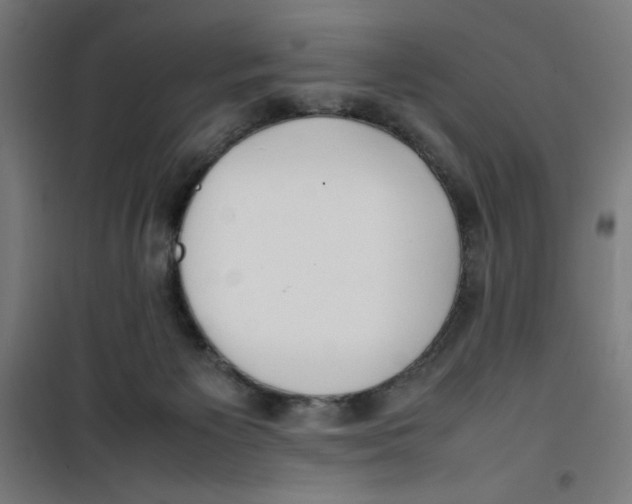 X0000100310125200807031156