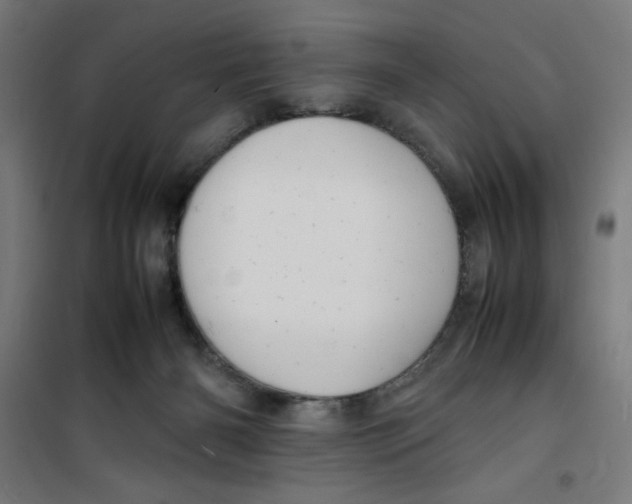 X0000100310126200807031156