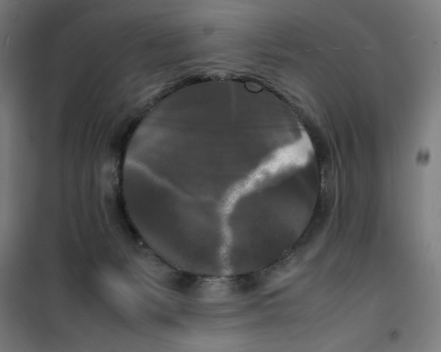 X0000100310127200807031156