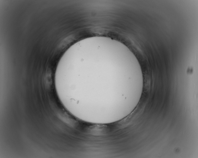 X0000100310128200807031156