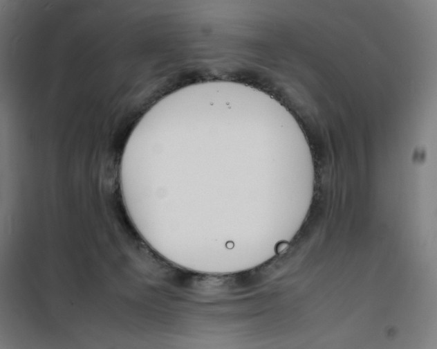 X0000100310129200807031156