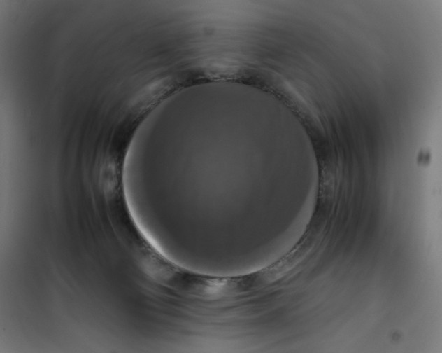 X0000100310130200807031156