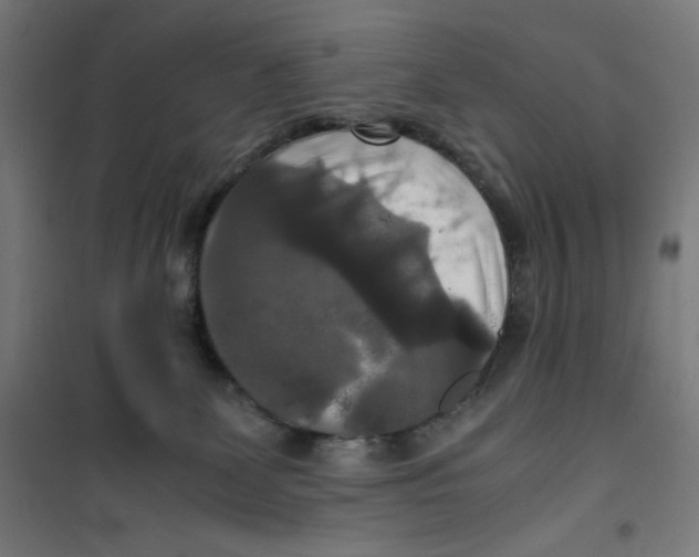 X0000100310131200807031156