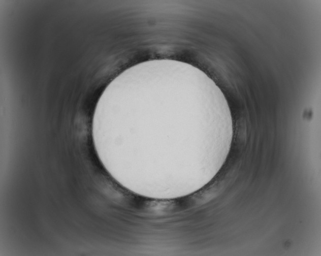 X0000100310135200807031156