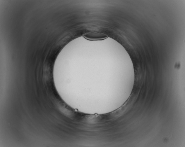 X0000100310136200807031156