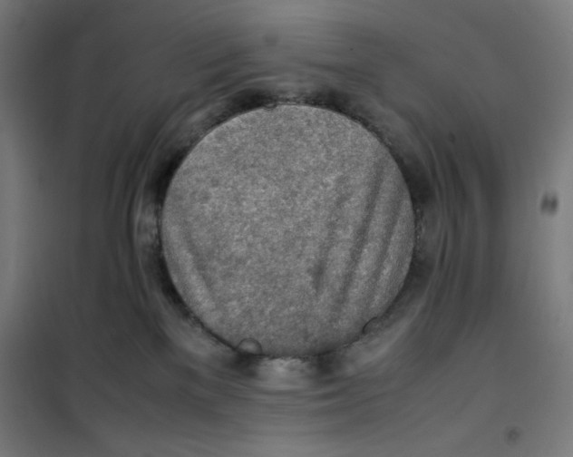 X0000100310137200807031156