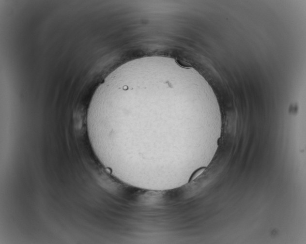 X0000100310138200807031156