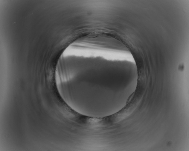 X0000100310139200807031156