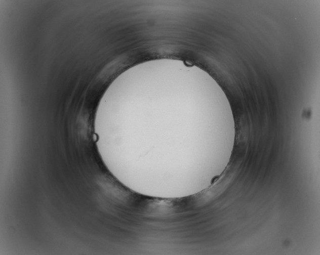X0000100310140200807031156