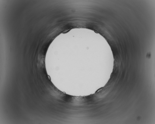 X0000100310141200807031156