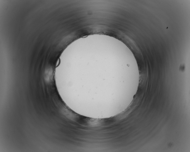 X0000100310142200807031156
