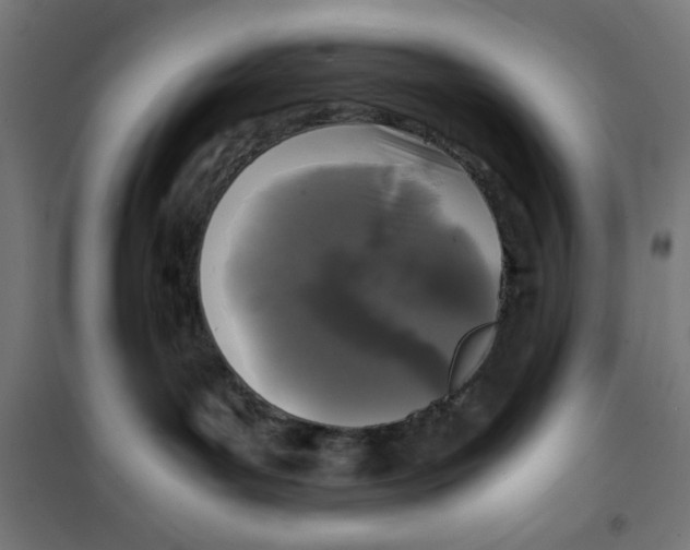 X0000100310143200807031156