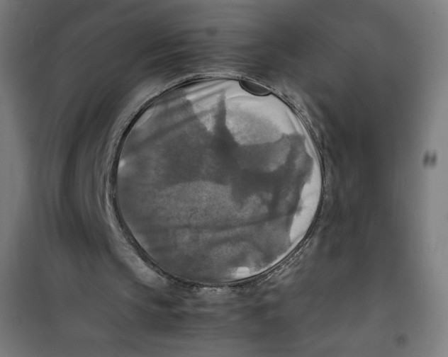 X0000100310145200807031155