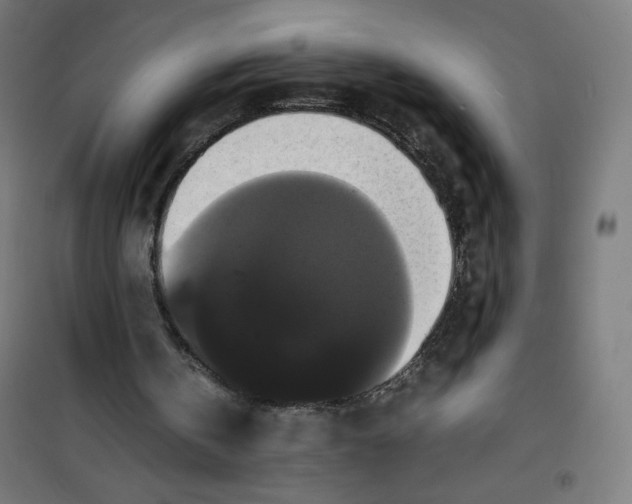 X0000100310146200807031155