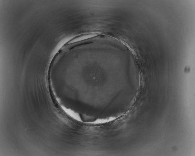X0000100310147200807031155