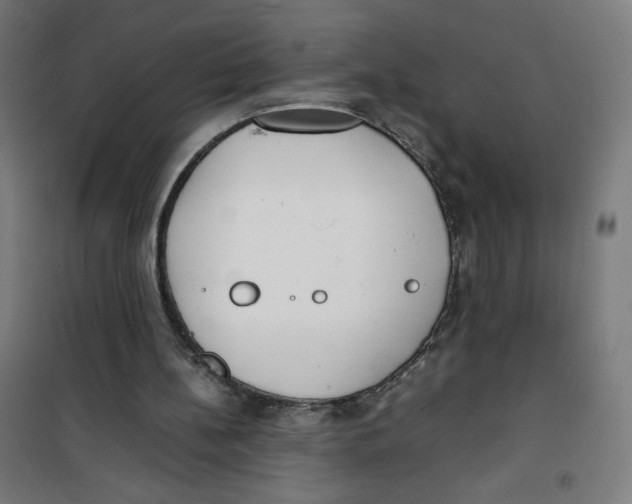 X0000100310148200807031155