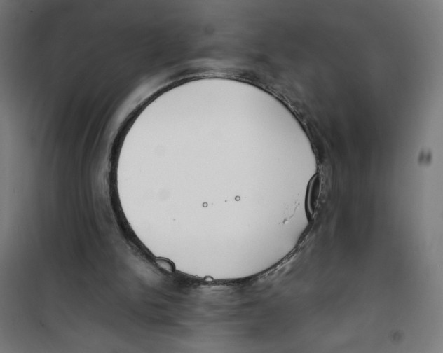 X0000100310150200807031155