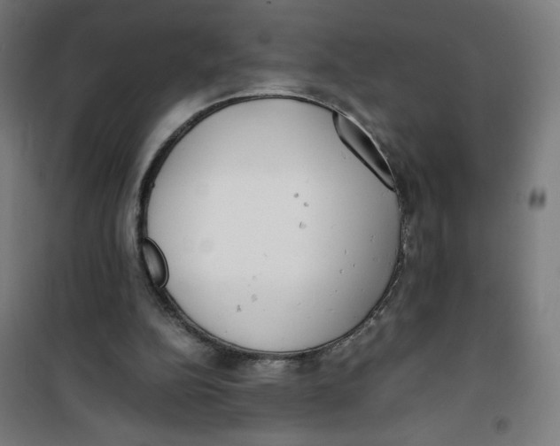 X0000100310152200807031155