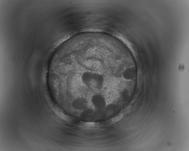 X0000100310153200807031155