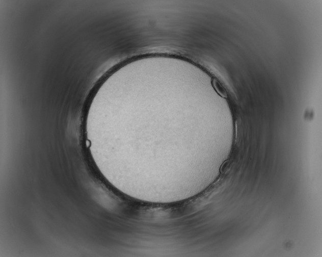 X0000100310156200807031155