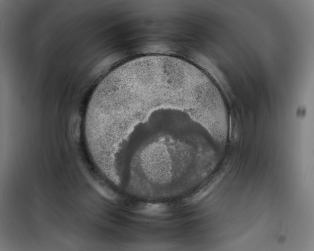 X0000100310157200807031155