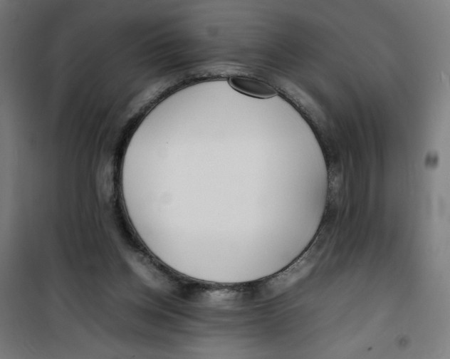 X0000100310158200807031155