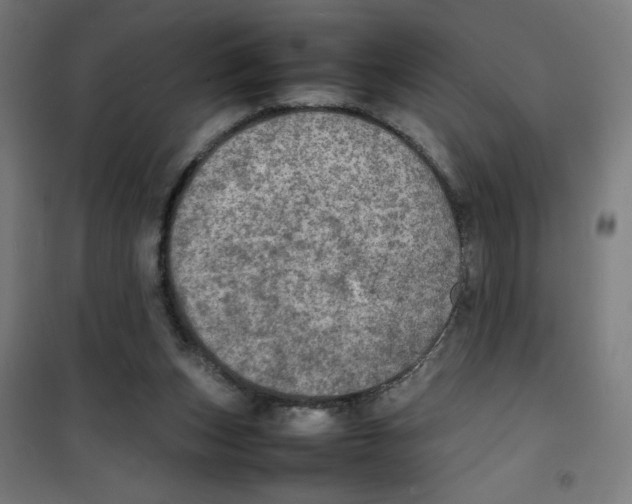 X0000100310159200807031155