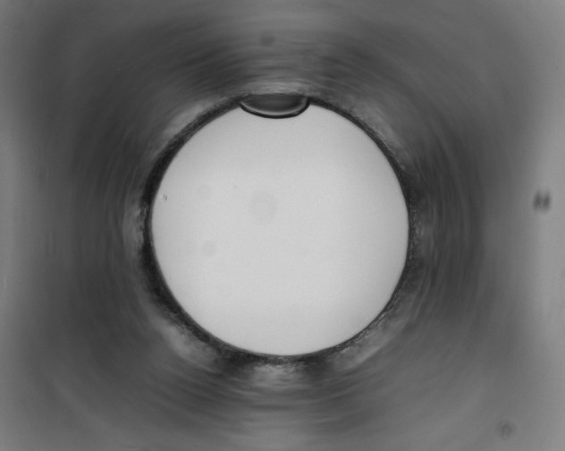X0000100310160200807031155