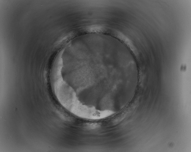 X0000100310161200807031155