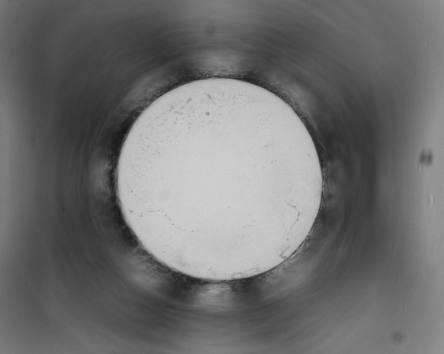 X0000100310162200807031155