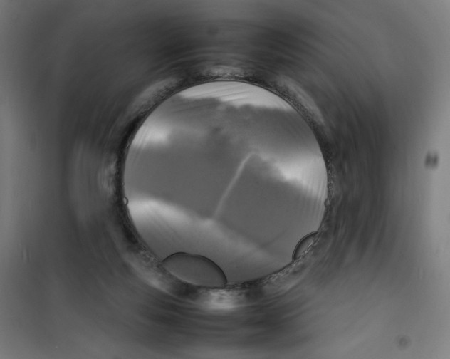 X0000100310163200807031155