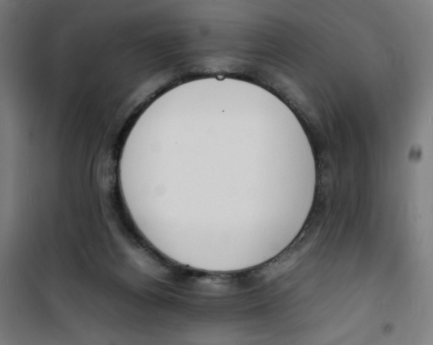 X0000100310164200807031155