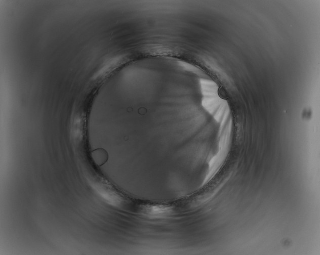 X0000100310165200807031155