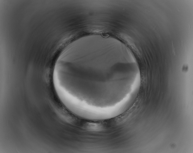 X0000100310167200807031155