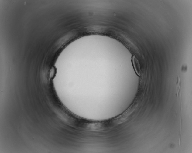 X0000100310168200807031155