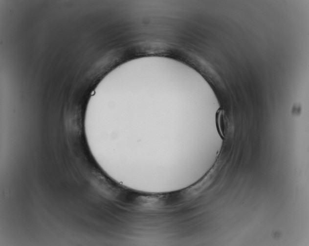 X0000100310170200807031155