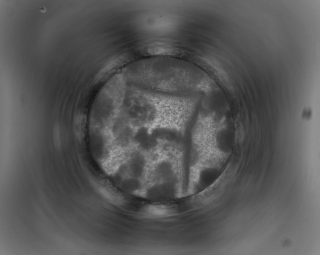 X0000100310171200807031155