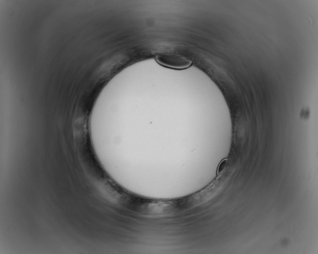 X0000100310172200807031155