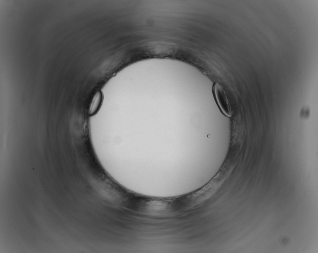 X0000100310176200807031155