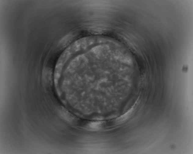 X0000100310178200807031155