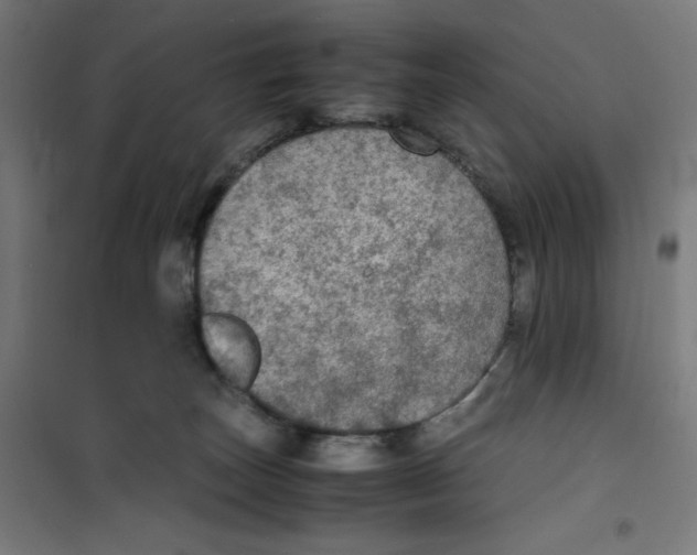 X0000100310179200807031155