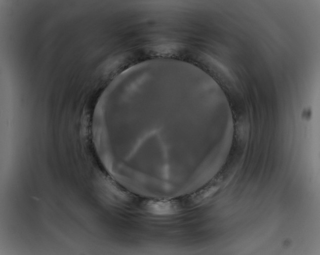 X0000100310181200807031155
