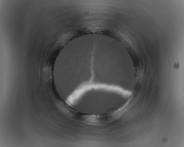 X0000100310182200807031155