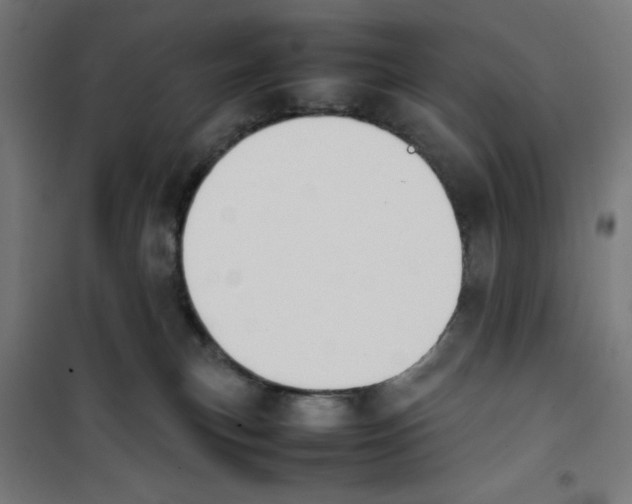 X0000100310183200807031155
