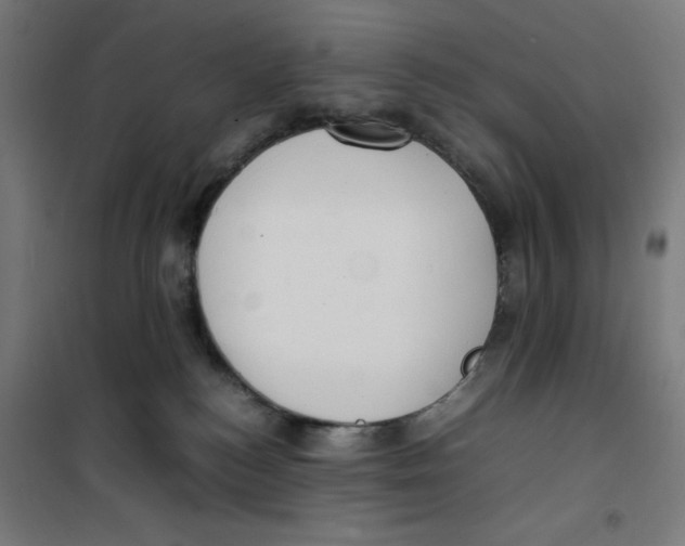 X0000100310184200807031155