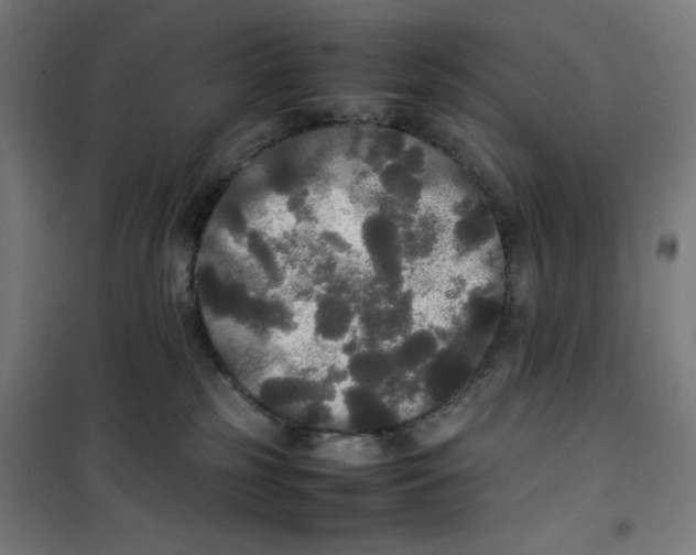 X0000100310185200807031155