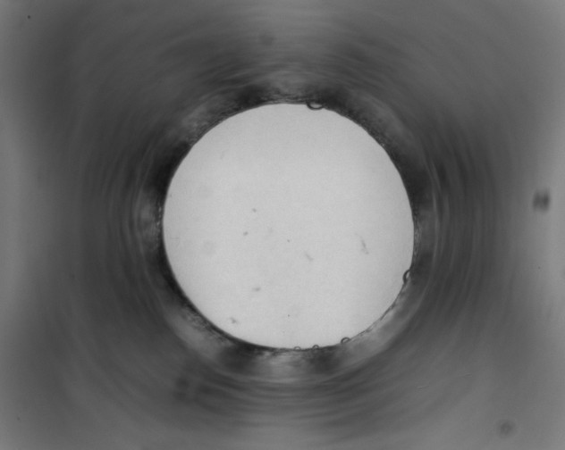 X0000100310186200807031155