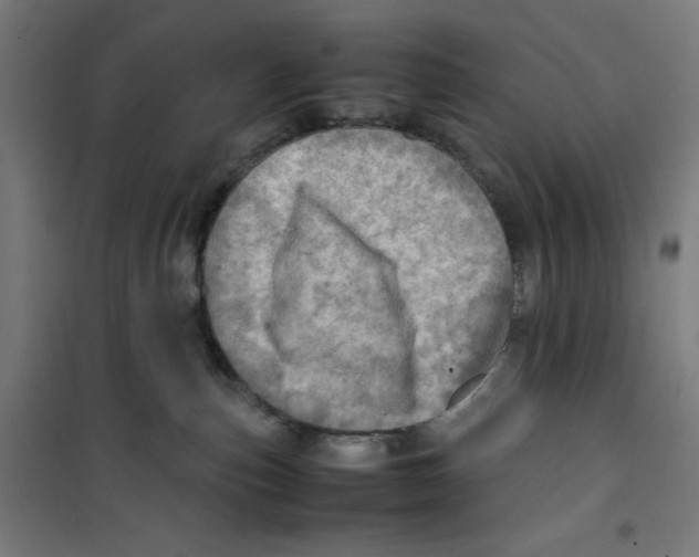 X0000100310187200807031155
