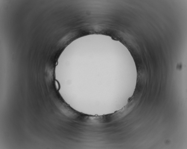 X0000100310188200807031155