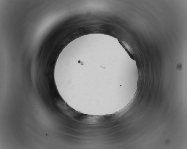 X0000100310190200807031155
